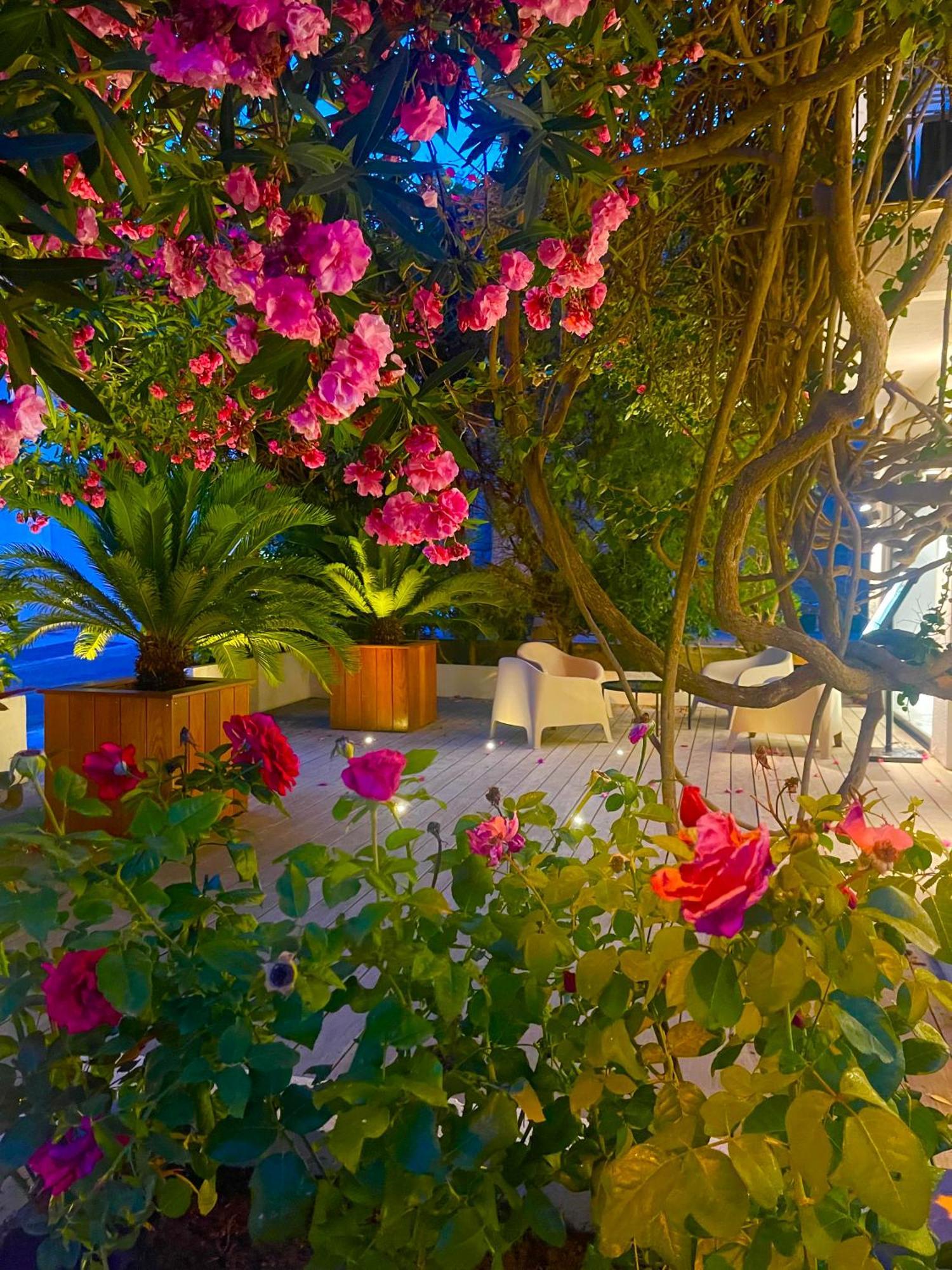Hotel Le Mistral Πόρτο Βέκιο Εξωτερικό φωτογραφία